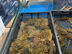 -恒达综合农贸市场(黄山路店)