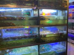 水产区-桥东喜碧海鲜街(水东街店)