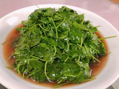 -蘭心餐厅(进贤路店)