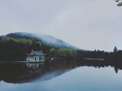 -庐山风景区花径公园
