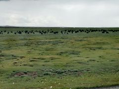 -花湖生态旅游区