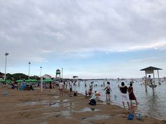 -碧海金沙