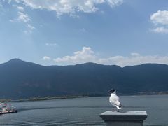 -海埂大坝