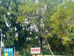 -广东惠东海龟国家级自然保护区