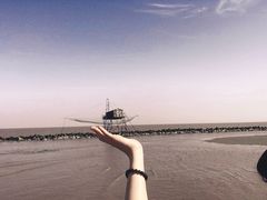 -南汇嘴观海公园