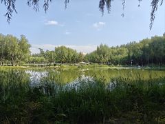 -吉林大学(前卫南区)