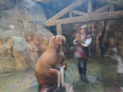 -波塞冬旅游度假区