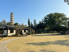 -江心屿景区
