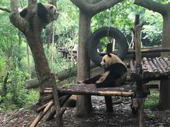 -宫廷糕点铺