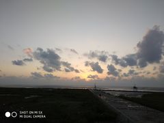 -南汇嘴观海公园