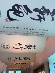 -阅年轻·AI家庭健康体质调理