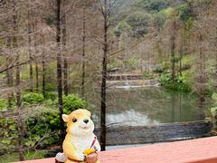 -云溪植物园