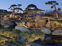 -罗红摄影艺术馆