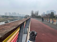 -府河摄影公园