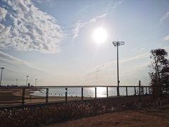 -鹦鹉洲湿地公园