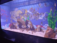 -烟台海昌鲸鲨海洋公园