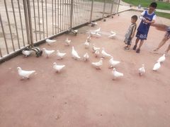 -华夏文旅海洋公园