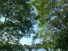 -佛手湖郊野公园