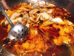 清江鱼-新沸腾鱼乡(世贸天阶店)