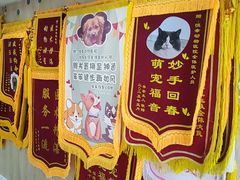 -恒幸动物医院·急重症转诊中心·神经内外科·CT核磁