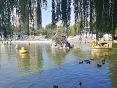 -团结湖公园