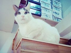 android_upload_pic-Feiyue飞跃(长乐路店)
