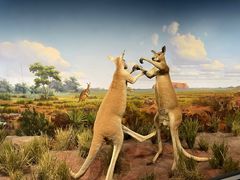 -陕西自然博物馆