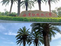 -宝安西湾红树林湿地公园