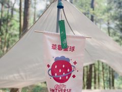 -重庆睡佛山森林公园