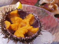-琴寿司居酒屋(中山广场店)