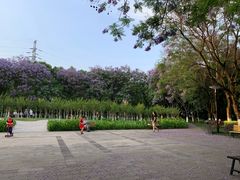 -重庆彩云湖湿地公园