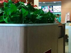 -肯德基(西安电子城店)