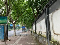 -菊花台公园