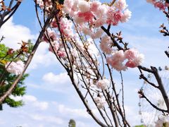 -观澜湖生态运动公社