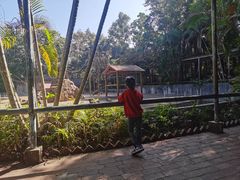 -广东茂名森林公园