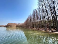 -上海海湾国家森林公园