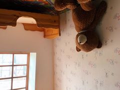 -金山农民画村-枫泾波兰倒置屋