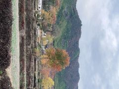 -塔川景区