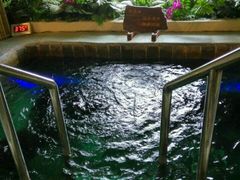 小池-泉城欧乐堡戏水湾艺术养生温泉