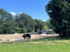 -北京野生动物园
