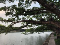 -江心屿景区