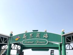 -荷兰花海