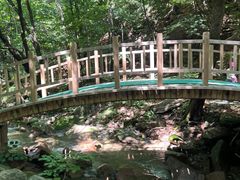 -本溪汤沟绿石谷森林公园