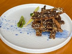 -广州富力君悦大酒店空中花园