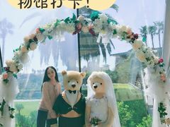 -济州岛泰迪熊博物馆