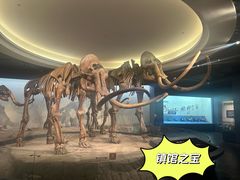 -大庆市博物馆