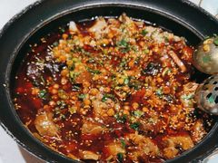 -青花椒花椒鱼(合生汇店)