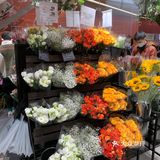 全球旗舰店[得意]北京首家优衣库花店🌹[礼花]绿啦❗️