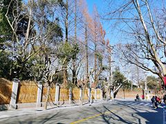 -穹六人间 people 6(岳阳路店)