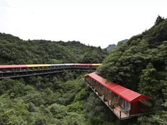 -梦幻奥陶纪景区